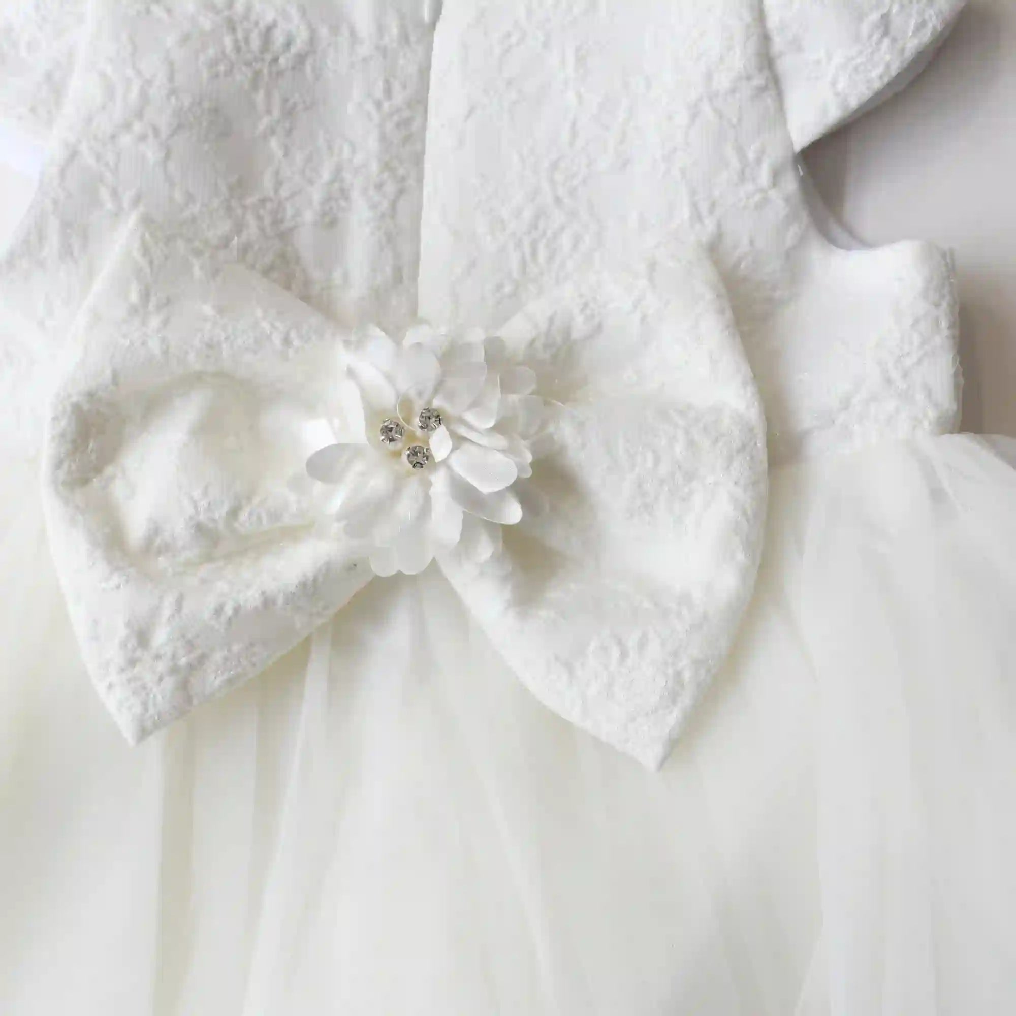 Royal Whispers Formal Baby Dress