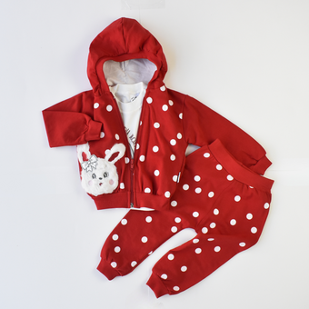 The Happy Rabbit Girls Hoodie Set