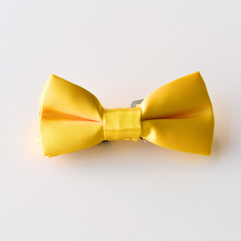 Noeud papillon en satin
