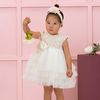 Royal Whispers Formal Baby Dress